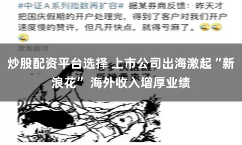 炒股配资平台选择 上市公司出海激起“新浪花” 海外收入增厚业绩