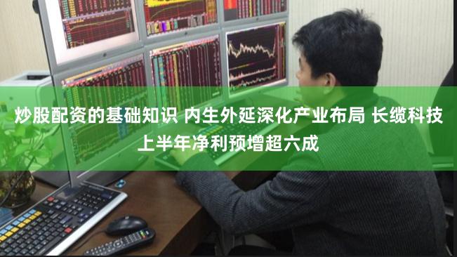 炒股配资的基础知识 内生外延深化产业布局 长缆科技上半年净利预增超六成
